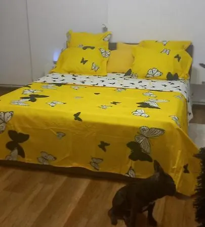 Apartamento Vlad's Unirii *