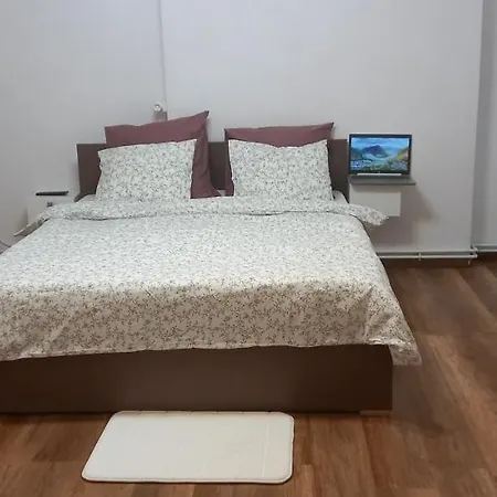 Apartment Vlad's Unirii