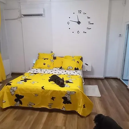 Vlad's Unirii Apartment Bucharest
