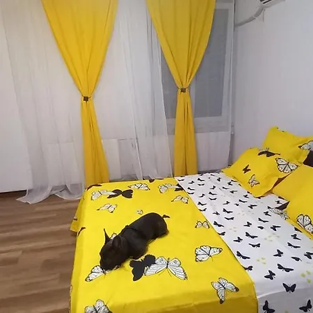 Vlad's Unirii Apartment Bucharest